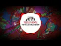 TrizzyBeatz - Fine Day (Goa Remix)