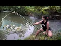 Download Lagu drag the net to catch fish. The girl used rice bran, eggs and wild figs as bait to attract fish.