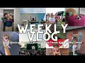 More Moving Boston Calling Whole Foods Haul Meal Ideas
