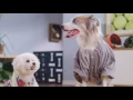 SparePups What Is Full-Service Storage