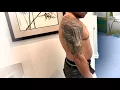 Japanese Landscape Waterfall Tattoo Biagio Cover up