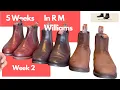Week 2 of 5 Weeks in R M Williams