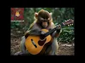 Download Lagu monyet si pengamen jalanan #monkey #funnyanimals #monyet #ai #cuteanimals #viralvideo #fyp #pengamen