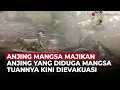 Download Lagu 10 Ekor Anjing yang Diduga Mangsa Majikannya Akhirnya Dievakuasi Petugas | OneNews Update