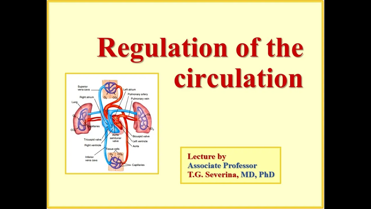 Regulation of Circulation