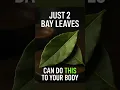 Just 2 Bay Leaves Can Do THIS to Your Body