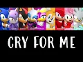 Download Lagu SONIC CREW - \
