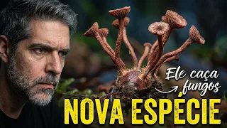 O parasita do parasita: O NOVO FUNGO DESCOBERTO PELA BIOLOGIA