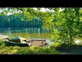 Download Lagu Рыбалка с ночевкой летом! Карпфишинг 2025! Рыбалка на карпа на очень красивом водоеме!