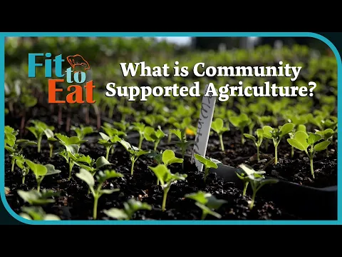Download MP3 What is Community Supported Agriculture (CSA)? – Fit to Eat