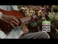 Amor Papaya - Carlos Sadness Guitarra Tutorial Acordes