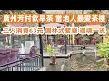 Download Lagu 廣州芳村飲早茶！當地人最愛茶樓！2人消費63元！園林式餐廳！環境一流！颱風殺到！西朗市場大搶購！菜價上漲！市民搶購一空！生活VLOG！美食旅遊攻略！Canton Food Tour｜GuangZhou