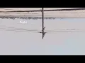 José González - Far Away [Short Version] (Lyric Video)