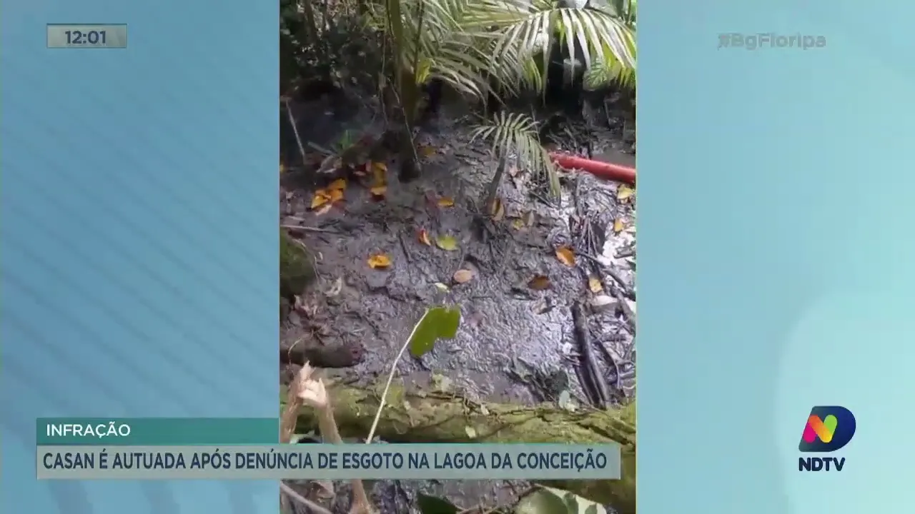 Casan recebe autuação após denúncia de esgoto a céu aberto na Lagoa da Conceição, em Florianópolis