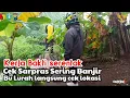 Download Lagu 🔴 Kerja Bakti Serentak Bu Lurah cek lokasi sering Banjir