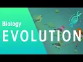 Evolution by Natural Selection - Darwin s Finches Evolution Biology FuseSchool