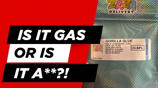 Is It Worth It Gorilla Glue THCA Flower Review 4