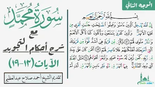 كيف تقرأ سورة محمد مع شرح أحكام التجويد ١٢ ١٩ 