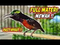 Download Lagu KOLIBRI NINJA GACOR FULL ISIAN TEMBAKAN BELALANG EMAS !! MASTERAN KONIN FULL BONGKAR MATERI MEWAH