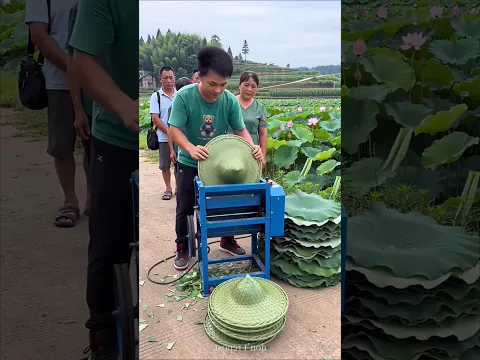 The Man Was Making a Hat Out of Leaves #shorts #vairalshorts