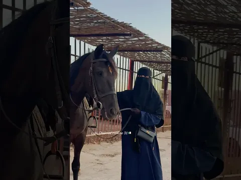 توحشتكم حبوباتي ..عودة قوية باذن الله القناة رجعت على خير ياوجوه الخير