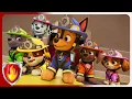 Introducing the Fire Pups Marshall PAW Patrol Cartoons for Kids