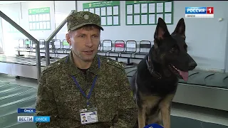 В омском аэропорту пассажиров теперь сканируют