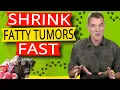 Download Lagu How to Get Rid of Fatty Tumors in Dogs (One Simple Supplement)