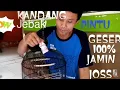 Download Lagu Merubah kandang love bird menjadi kandang jebak segala macam burung kicau..dijamin!!!!