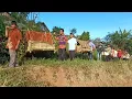 Download Lagu Pernikahan Viral Bawa 7 Dongdang \u0026 500 M melewati Jalan Setapak Di Kampung Cihanjuang Garut