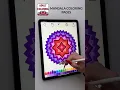 Mandala Coloring Book For Adults
