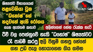 ශිෂ්‍යත්වයෙන් පළවෙනියා වුන ධනෝෂ්ගේ හදවත් රෝගය ගැන ඇත්ත කතාව -Grade 5 Island First Dhanosh Theekshana