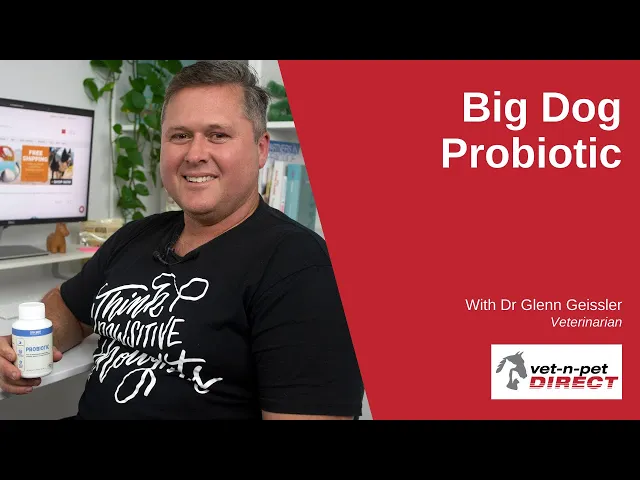 Big Dog Probiotic 150g