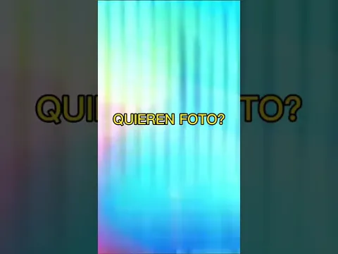 Perro Primo - LOWKICK (Adelanto) - 1 De Julio