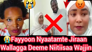 Wayyoo Sareen Fayyoo Nyaatte Jiraaf Niitiinsaa Wallagga Wajjin Deeman Fayyoon Maraatte 