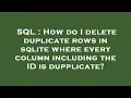 SQL How do I delete duplicate rows in sqlite where every column including the ID is dupplicate