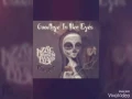 goodbye in her eyes-Zac brown band lyrics