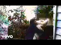 quickly quickly - Enything