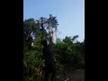 Download Lagu tangkap dron di hutan