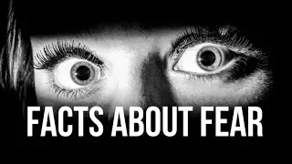 Are You Afraid Get The Facts About Fear 
