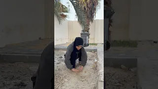 المكان الصح    ام سيف ونانو دندنها