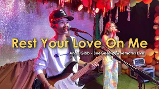 Download Rest Your Love On Me | Andy Gibb - Sweetnotes Live MP3