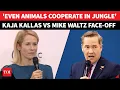 Lagu Unmissable: US-EUROPE Fight At Munich: Mike Waltz CLASHES With Kallas Over Trump Onslaught | WATCH