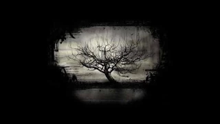 The Ascent Guitar RezaMirhadian موسیقی بی کلام گیتار عروج 