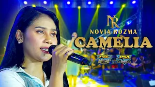 camelia irwansyah nr music novia rozma versi bajidor 