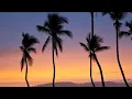 SUNSET PALM TREES View Background Screensaver Effect - PALM TREES Background