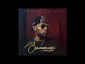 Prince Kaybee-Banomoya ft Busiswa & TNS (Official Audio)