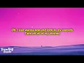 P!NK - Never Gonna Not Dance Again (Clean - Lyrics)
