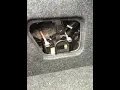 How to Remove the Aux Battery from a 2014 Chevrolet Malibu