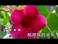 風雨無阻~周華健~女Eb調~伴奏~導唱丙